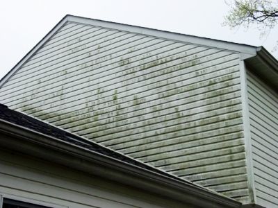 A residential home with white siding covered in green algae before being soft washed.
