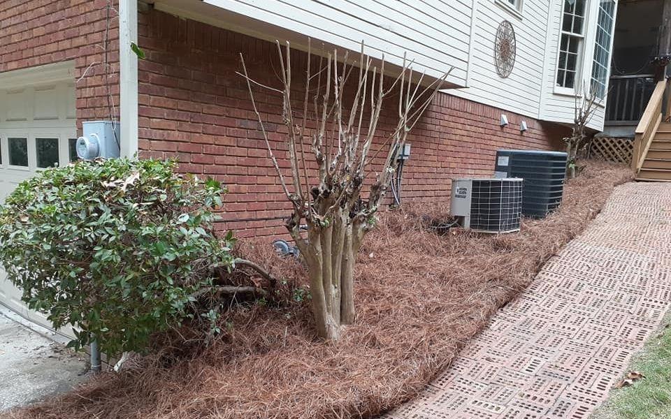 A very large landscape bed lining a brick home that is filled with freshly installed pine straw.